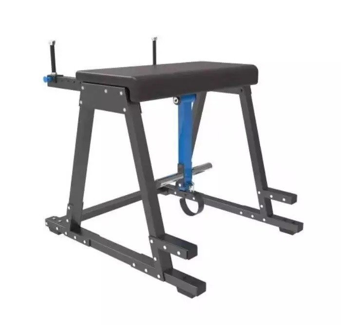 TechnoFitness DFT-1322 Professional Reverse Hyper Machine – Lower Back & Posterior Chain Strength Trainer | Spinal Decompression Station
