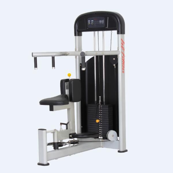 TechnoFitness WT-A08 Professional Rotary Torso Waist Trainer – 55KG Weight Stack | Commercial 2.5mm Steel Frame & High-Density PU Leather | Elite Oblique & Core Isolation Machine